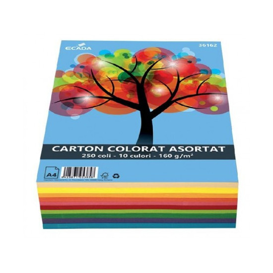 Carton color asortat 160g/mp 250 coli/top Ecada