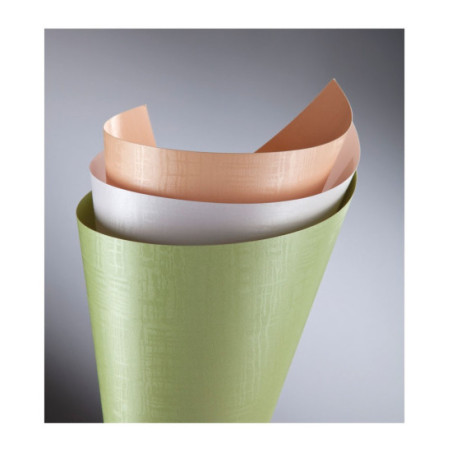 Carton doar pentru tipar laser 220 g/mp SATIN