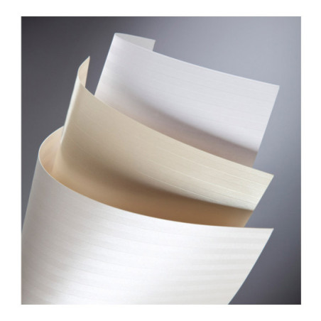 Carton carti de vizita 220g/mp BALI