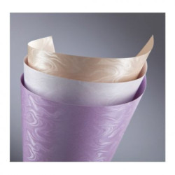 Carton carti de vizita 220g/mp PAPIRUS