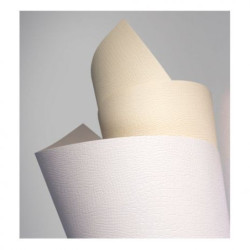 Carton carti de vizita BORNEO 220g/mp