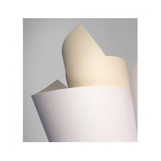 Carton carti de vizita BORNEO 220g/mp