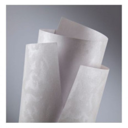 Carton doar pentru tipar laser 220g/mp PEARL