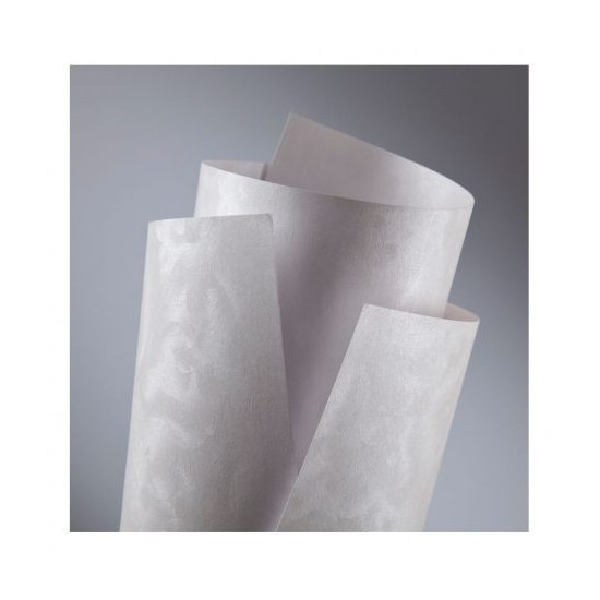 Carton doar pentru tipar laser 220g/mp PEARL