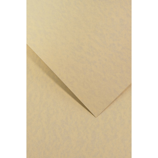 Carton carti de vizita 220g/mp GRANIT