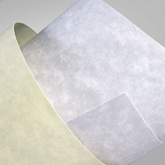 Carton carti de vizita 220g/mp GRANIT