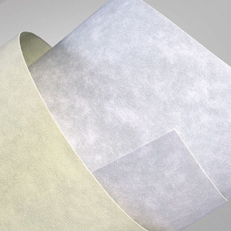 Carton carti de vizita 220g/mp GRANIT