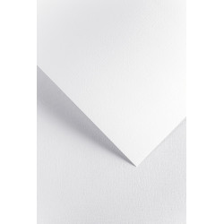 Carton carti de vizita 230g/mp LINEN