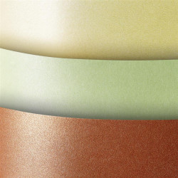 Carton carti de vizita 220 g/mp MILLENIUM