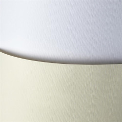 Carton carti de vizita A3 Plotno