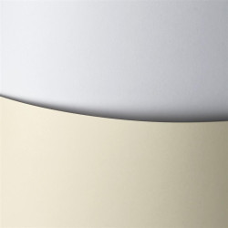 Carton carti de vizita A3 Gladky