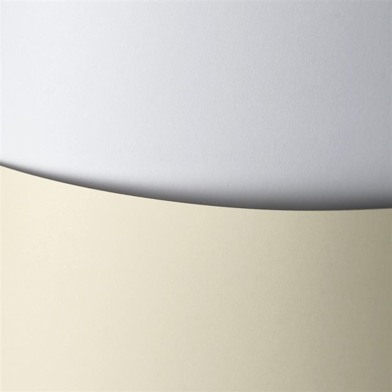 Carton carti de vizita A3 Gladky