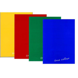 Registru repertoar A4 96 file Monocrom Educa