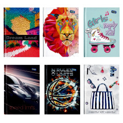 Registru A6 96 file diverse modele Educa