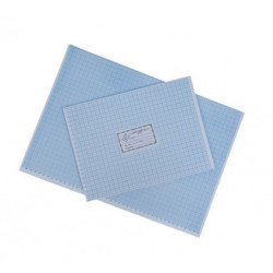 Hartie milimetrica 100/set