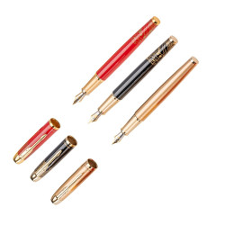 Set caligrafie stilou și călimară Picasso